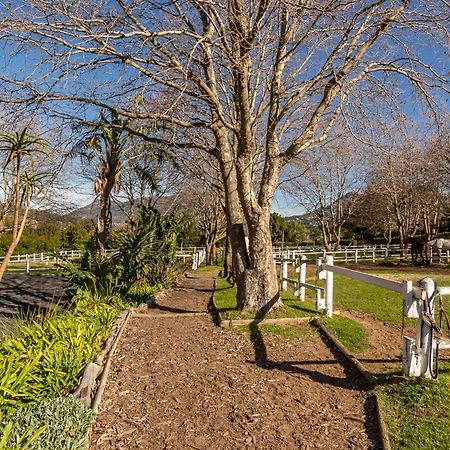 Novelle Vista Cottage Hout Bay Eksteriør billede