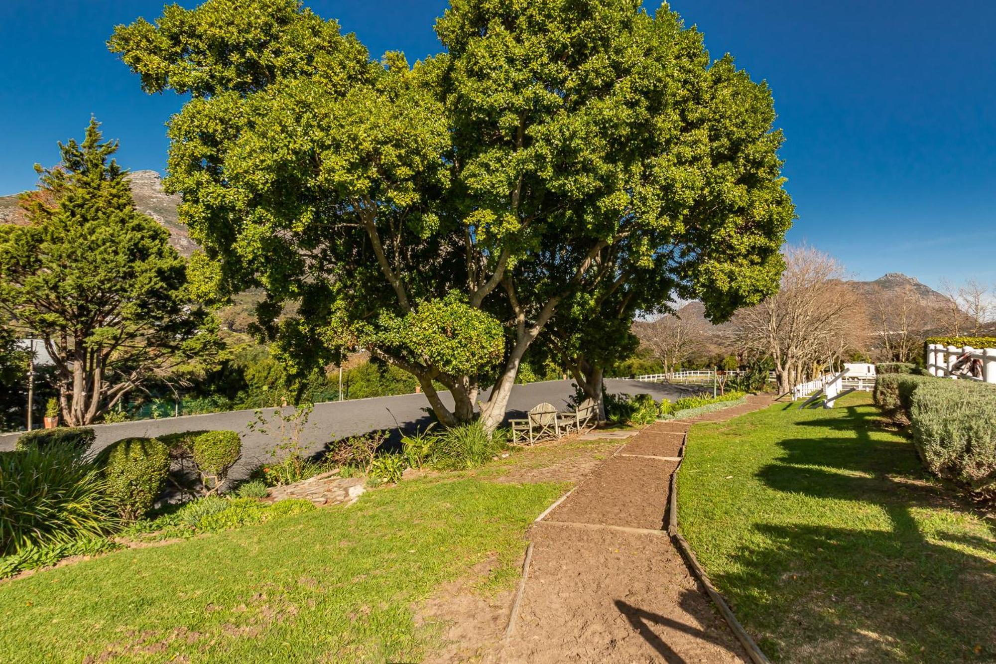 Novelle Vista Cottage Hout Bay Eksteriør billede